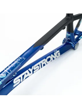 Stay Strong V5 Disc Only Frame 2025 Navy/Black